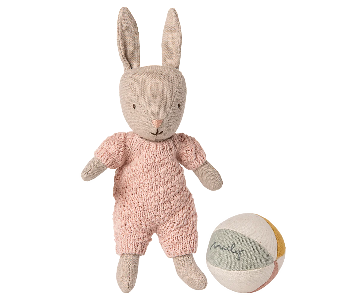 Rabbit Set, Micro ROSE