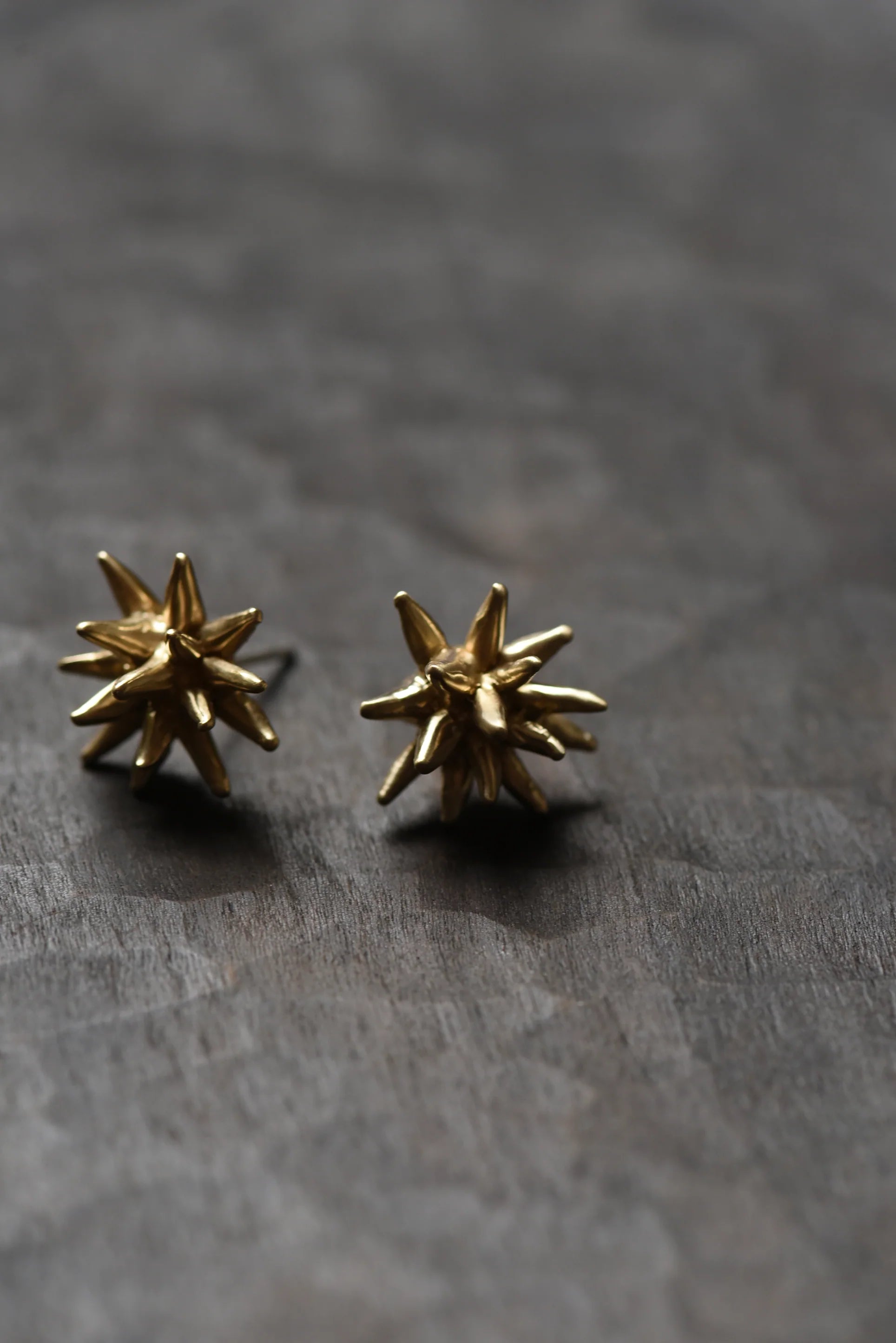 E21 Brass Studs