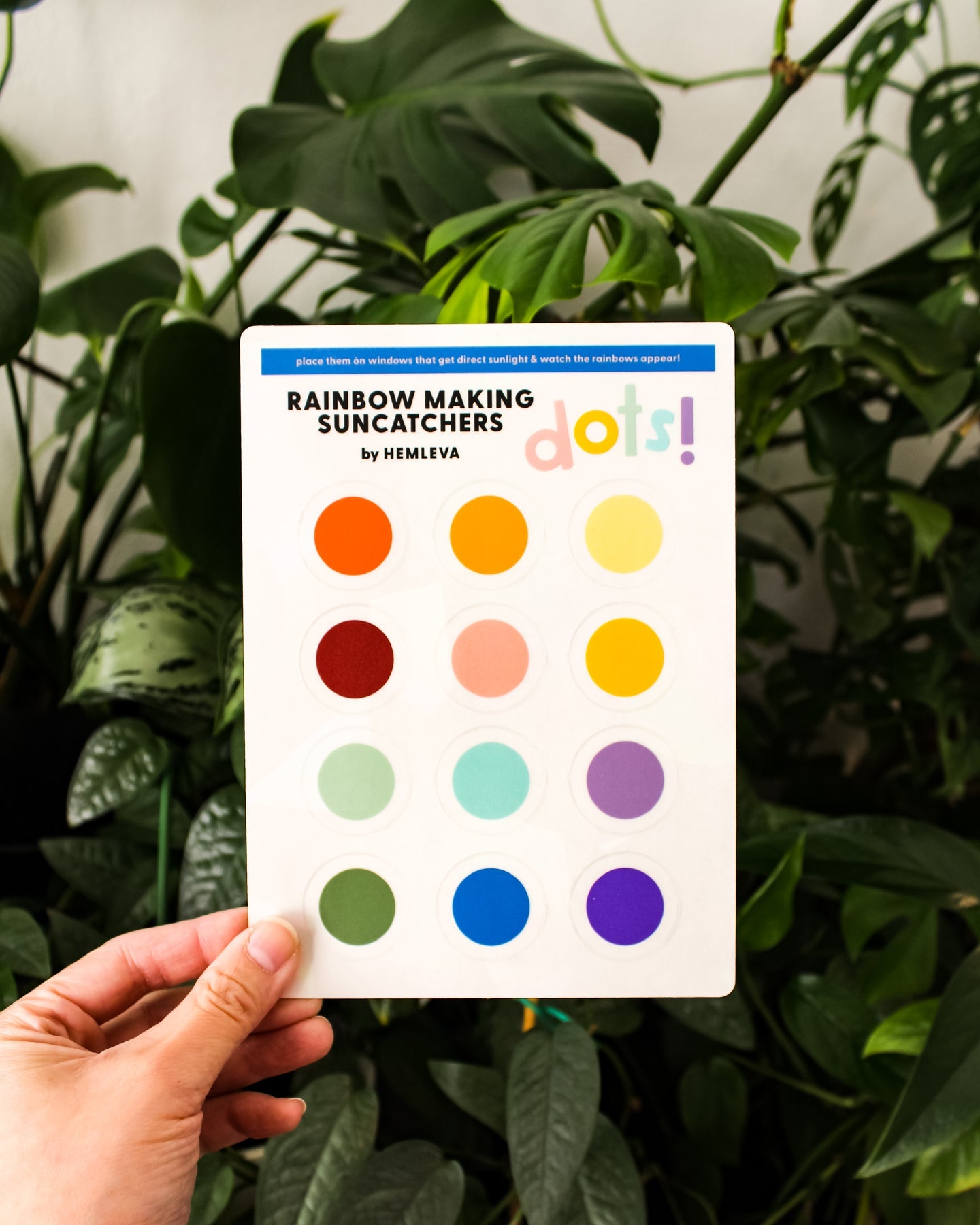 Suncatcher : Dots
