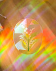 Suncatcher : Lily of the Vally