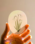 Suncatcher : Snowdrop