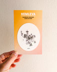 Seattle Suncatcher • Card Insert Sized