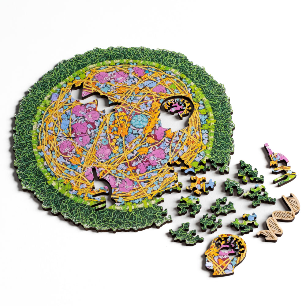 Mycoplasma Puzzle 134 pieces