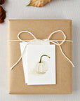 White pumpkin mini notecard