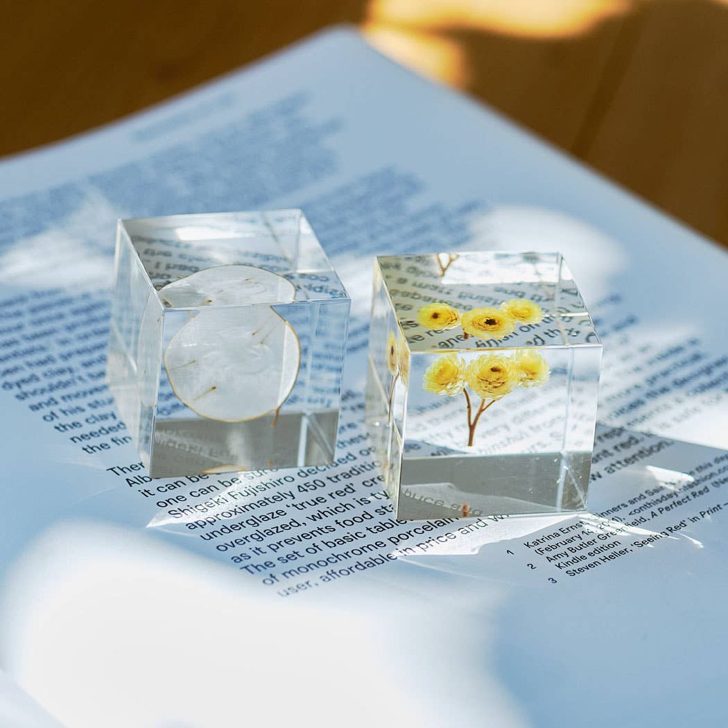 Immortelle Cube
