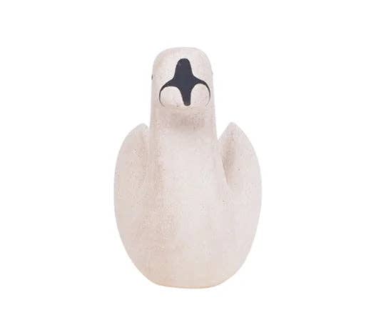 T-lab polepole animal SWAN 2024