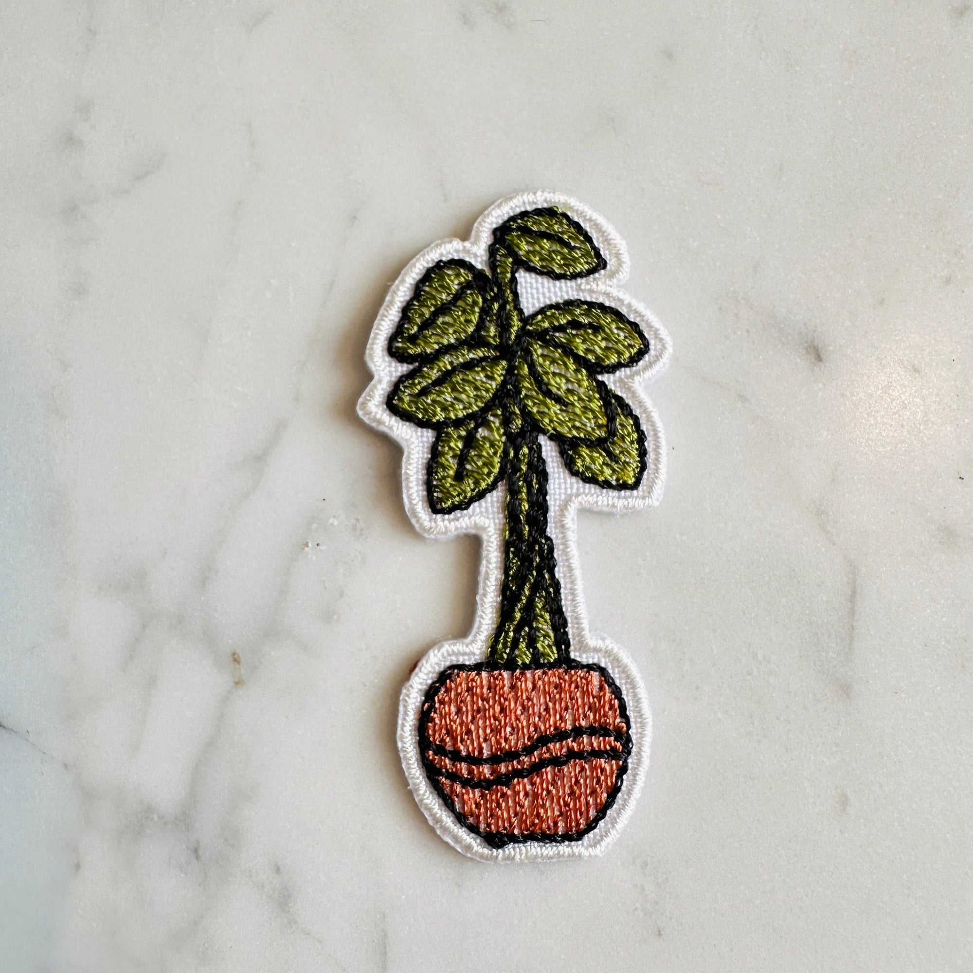 PATCH - Planter C - Philodendron