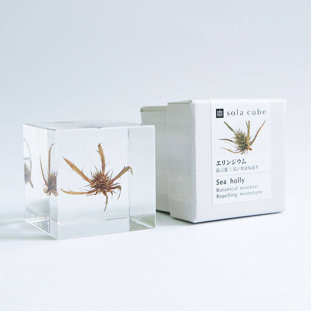 Sea holly - Botanical Decor Gift