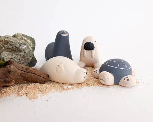 Sea Turtle 2025 Limited Version