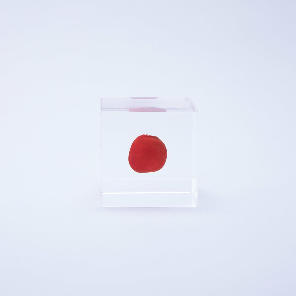 Huayruro Cube