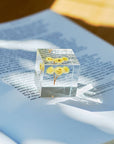 Immortelle Cube