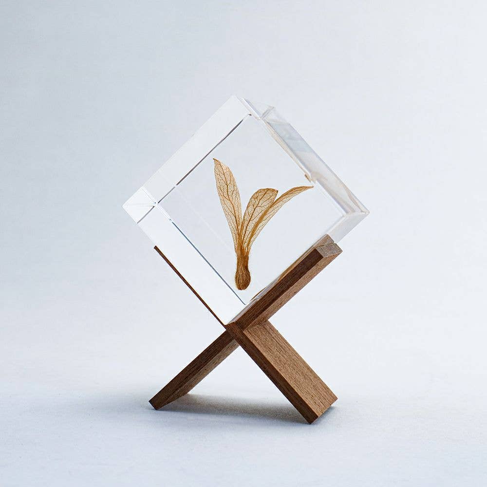 Ant Tree Cube