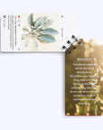 Phone Detox, Offline Activity Tool