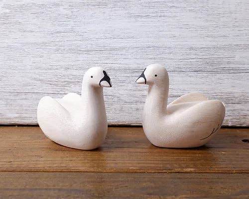 T-lab polepole animal SWAN 2024