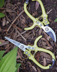 Garden Shears