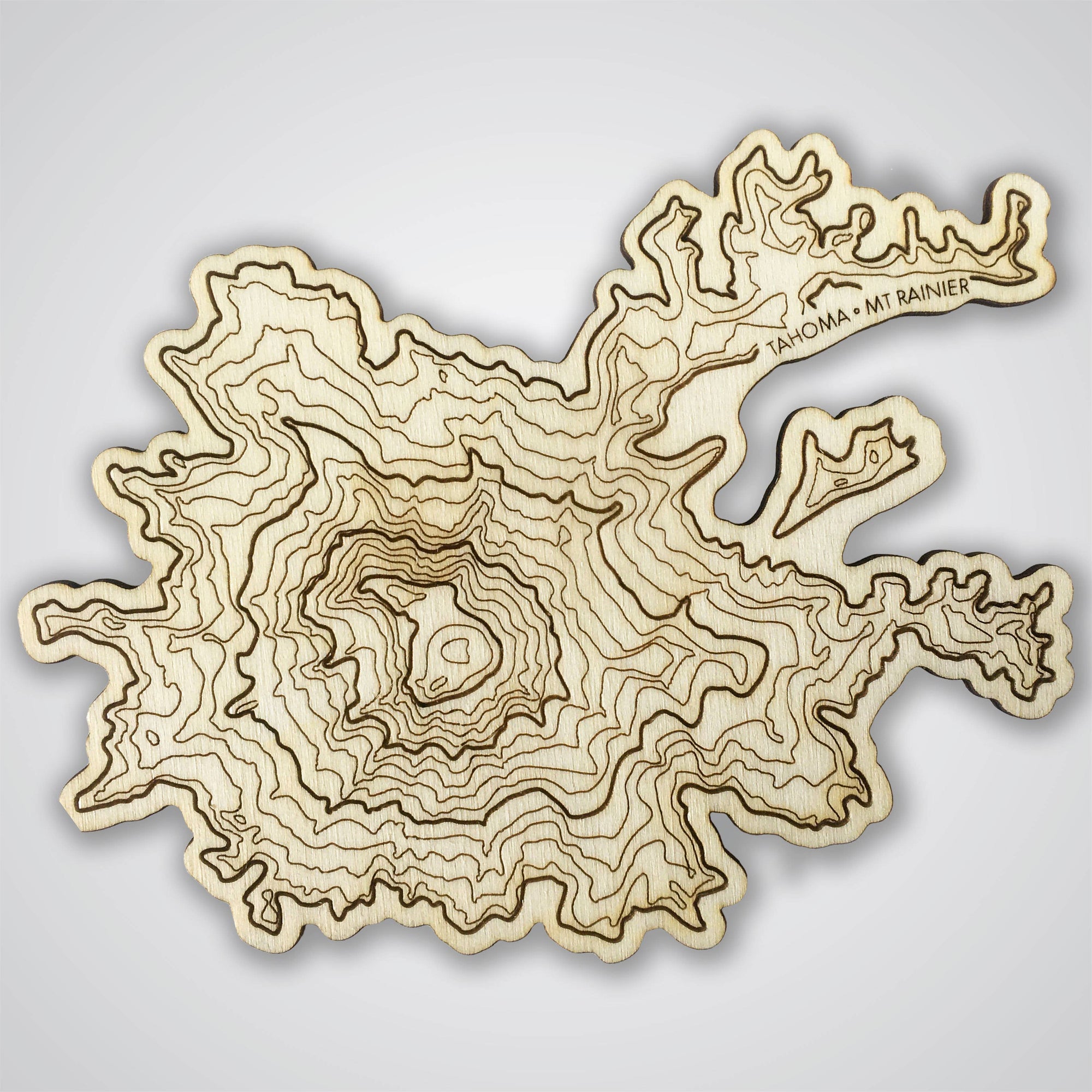 Mt Rainier Topography Coaster - Single