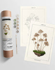 Mushroom Botanical | Modern Paint By Numbers Kit