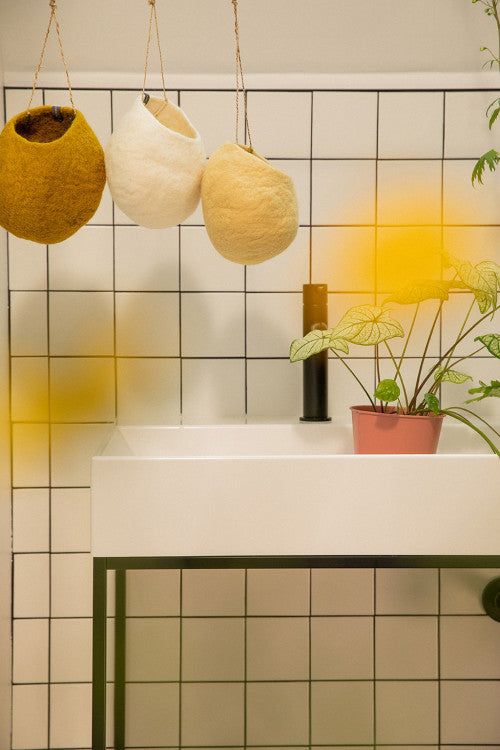 Muskhane – STUDIO DEN