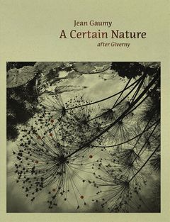 JEAN GAUMY A CERTAIN NATURE