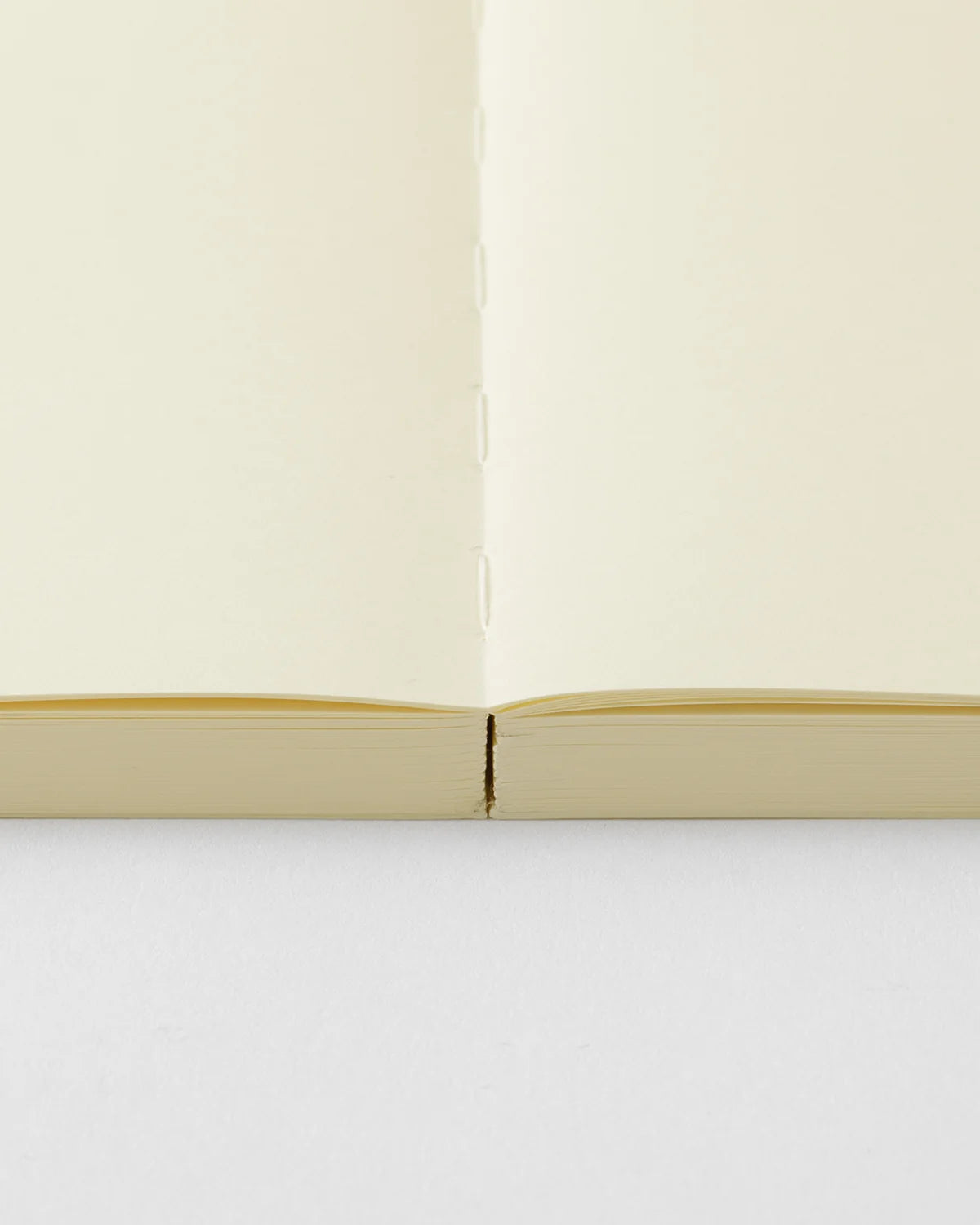 MD 1 Day 1 Page Journal A5 - BLANK