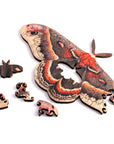 Mini Wooden Puzzle : Moth