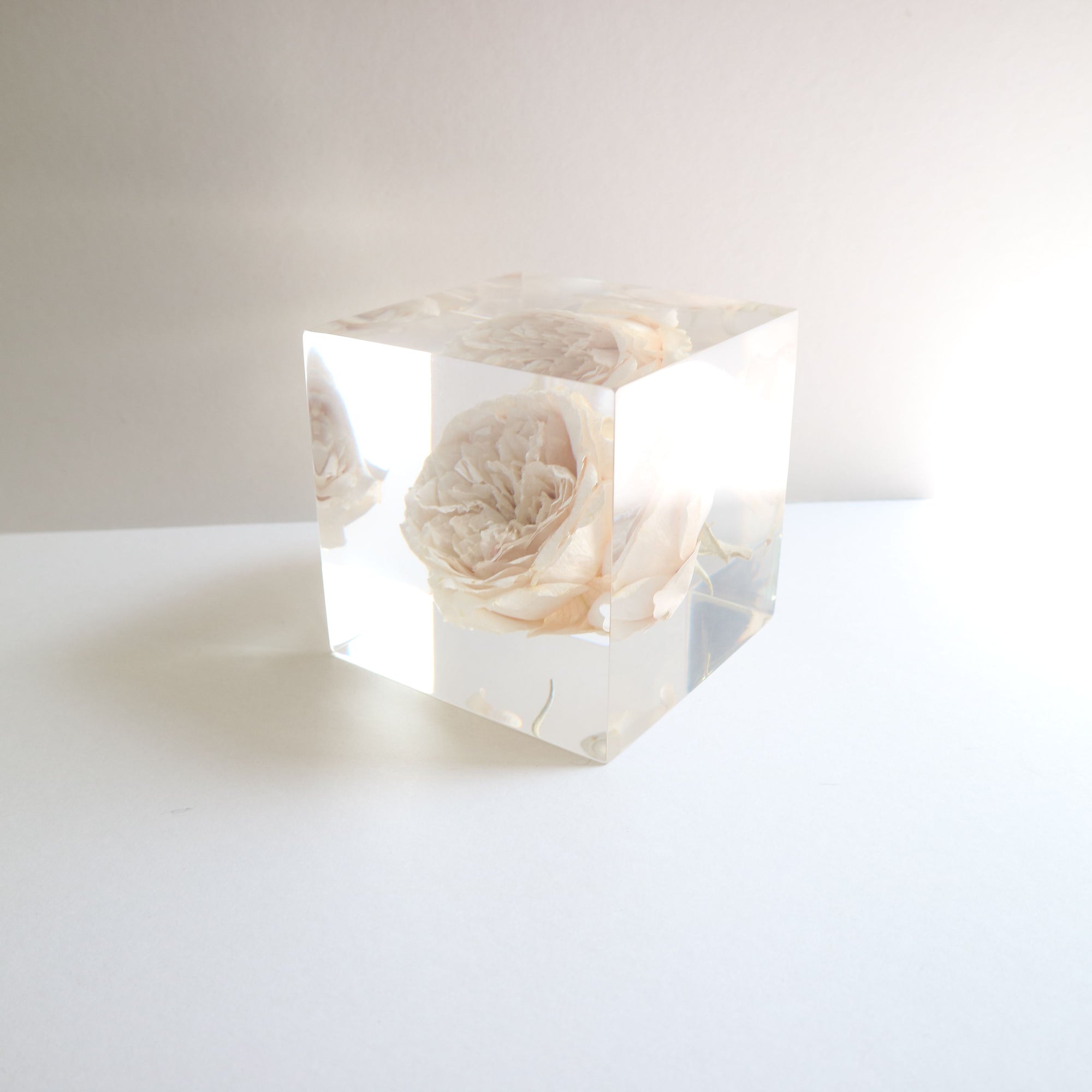 ROSE Hugetsu Cube