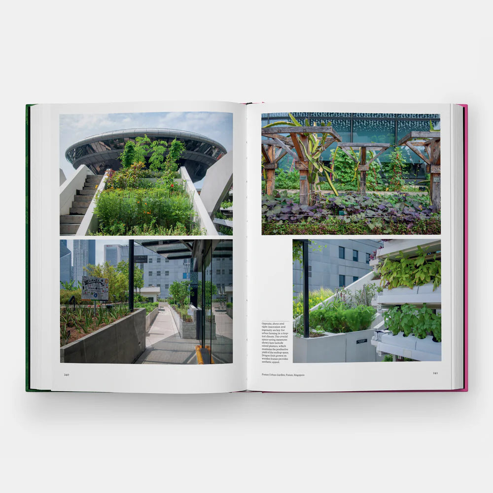 Kitchen Garden
