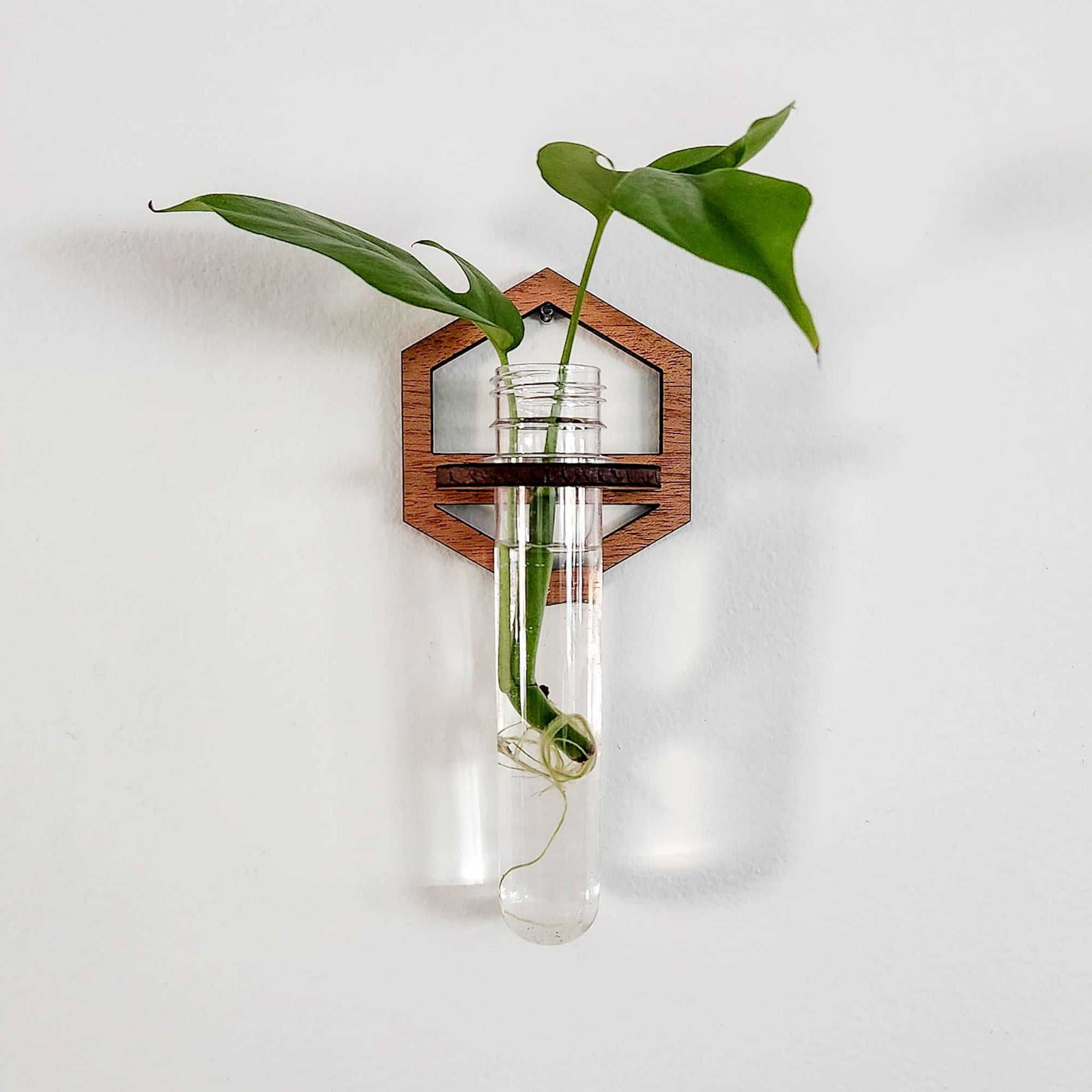 hanging test tube planter Wall Hanging Propagation Station