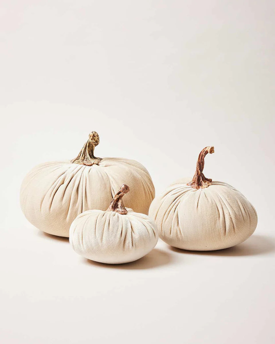 Harvest Pumpkins NATURAL