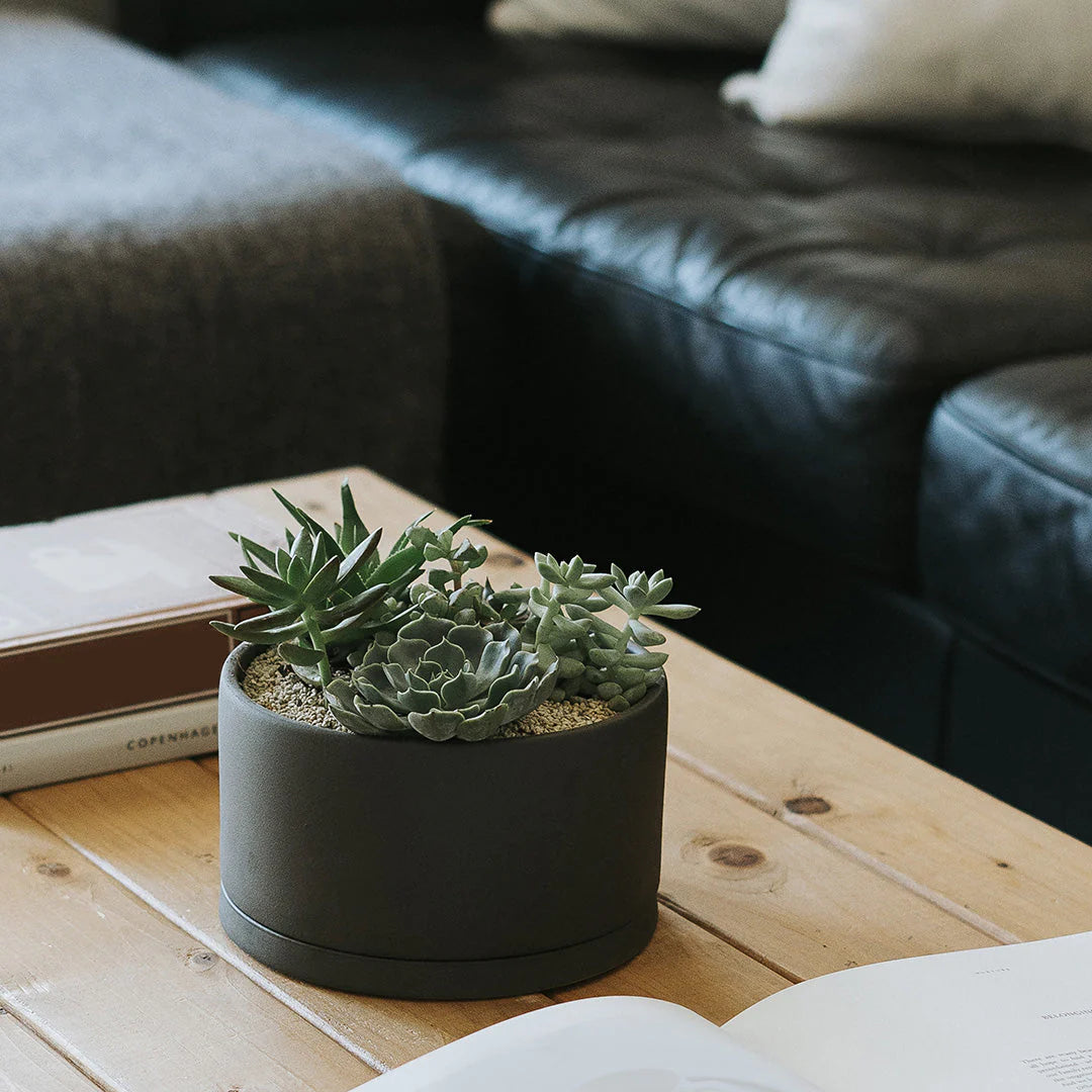 Kinto Plant Pot - Dark Gray