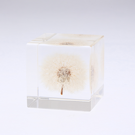 Dandelion Cube - Thumbnail 2